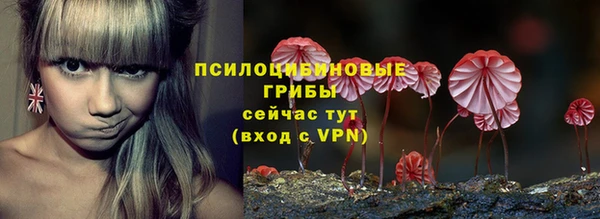 соль курить ск Алзамай